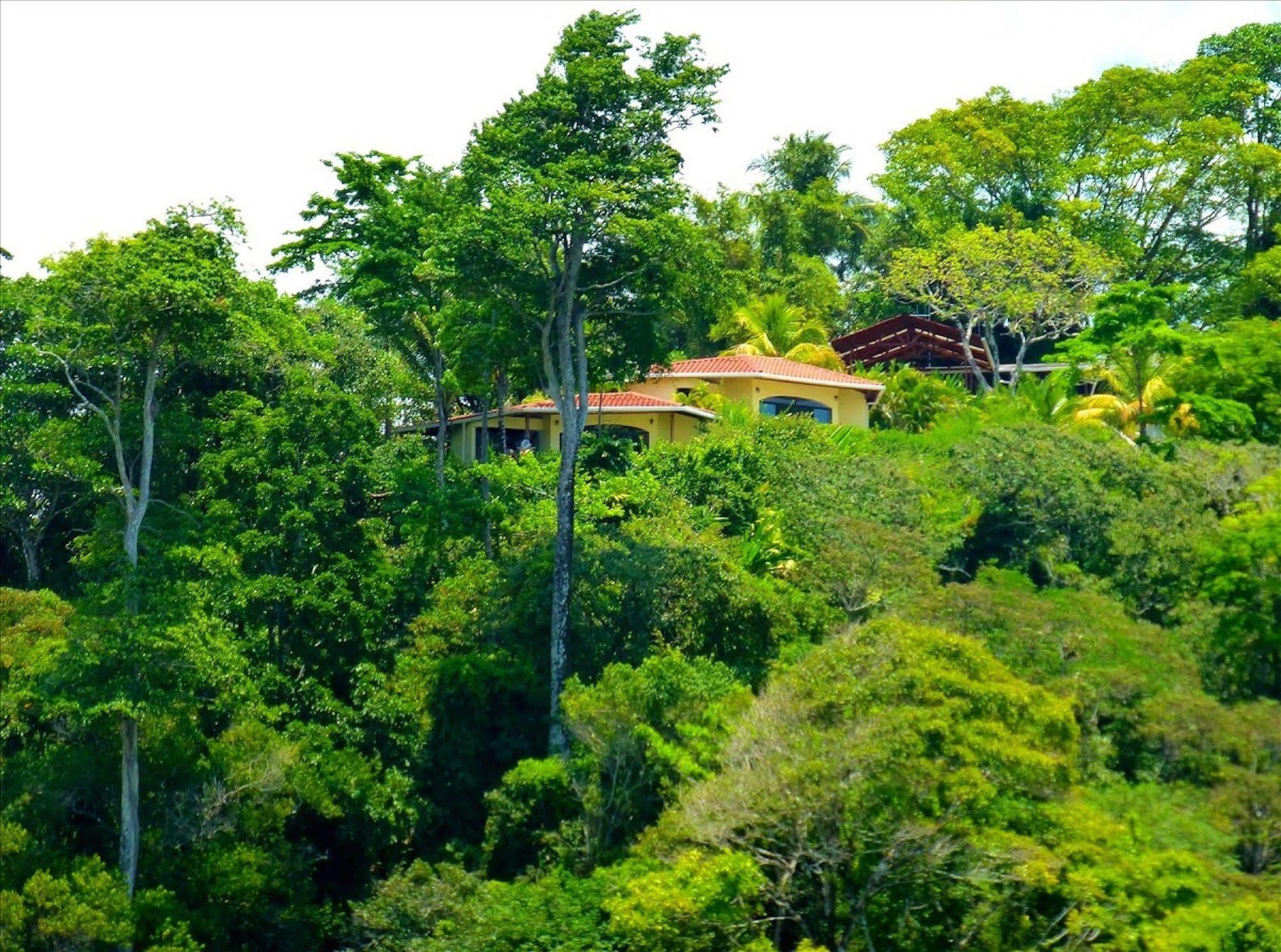 Lagunavista Villas Carate Eksteriør billede